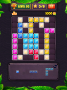 Block Puzzle Level screenshot 8