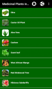 Medicinal Plants in Africa screenshot 2