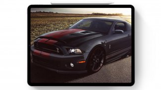 Wallpapers For Mustang Shelby Cars screenshot 7