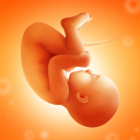 Kehamilan dan Bayi 🤰 Hamil. Kontraksi Timer