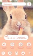 Cute Theme-Rabbit's Lunch- screenshot 4