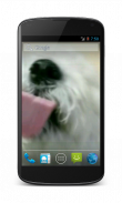 Cute Dog Licks Screen HD LWP screenshot 1