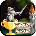 Save the Princess - Rescue Princess Pull the Pin