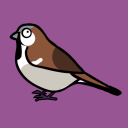 Bird Bingo - Bird Watching UK