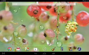 Water Drops Berry LWP screenshot 2