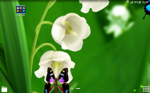 Lily of The Valley Wallpaper screenshot 0