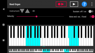 Simple piano with recorder screenshot 7