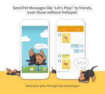 Hellopet - Cute cats, dogs and other unique pets screenshot 2