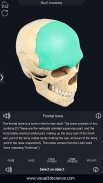 Skull Anatomy Pro. screenshot 12