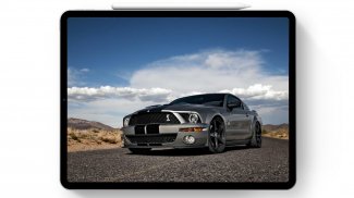 Wallpaper For Mustang Shelby Fans screenshot 8