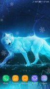 Ice Wolf Live Wallpaper HD screenshot 6