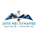 2019 NEI Synapse Icon