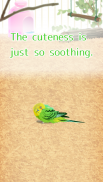 治愈的鹦鹉育成游戏 screenshot 2