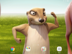 Funny Beaver Live Wallpaper screenshot 11