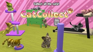 Cat Collect 〜nekoatsume〜 screenshot 0