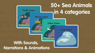 Learn Ocean Animals for kids screenshot 5