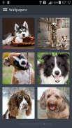 Fond Ecran Chien screenshot 2