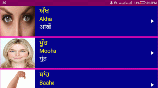 Learn Punjabi From Hindi screenshot 12