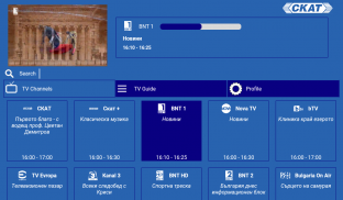 SKAT MobileTV screenshot 2