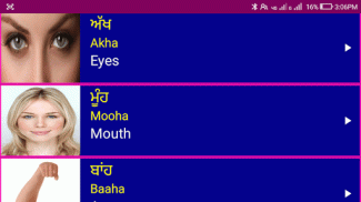 Learn Punjabi From English screenshot 6