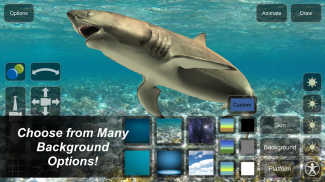 Shark Mannequin screenshot 5