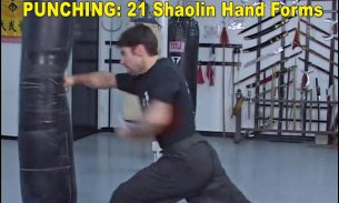 Shaolin Kung Fu screenshot 8