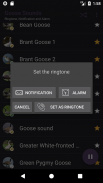 Appp.io - Goose Sounds screenshot 1