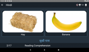 Hindi Language Tests screenshot 15