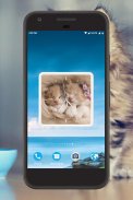 Kitten Clock Live Wallpaper screenshot 0