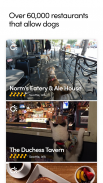 BringFido Pet Friendly Hotels screenshot 0