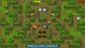 Chipmunk's Adventures - Puzzle screenshot 13