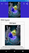 Molecular biology screenshot 6