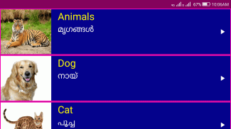 Learn English from Malayalam screenshot 4