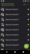 Appp.io - Raccoon sounds screenshot 1