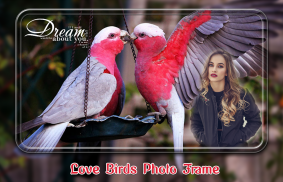 Love Birds Photo Frames screenshot 3