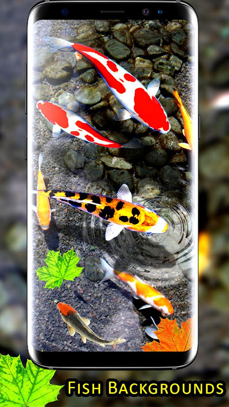Fish Live Wallpaper 2021: Aquarium Koi Backgrounds cho Android - Tải về