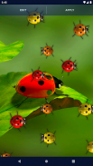 Cute Ladybug Live Wallpaper screenshot 3