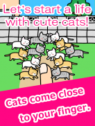 Play with Cats screenshot 4