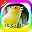 Suara burung kenari mp3 Icon