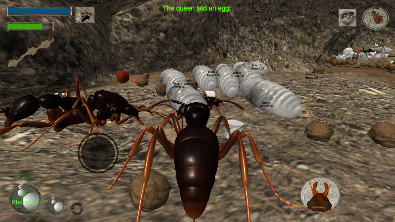 Ant Simulation 3D - Insect Survival Game - Загрузить APK для Android |  Aptoide