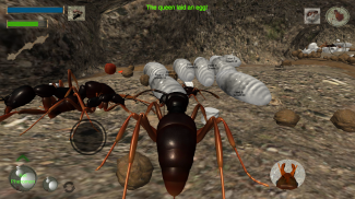 Ant Simulation 3D screenshot 4