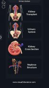 My Urinary System screenshot 15