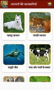 Animal Information in Hindi screenshot 7