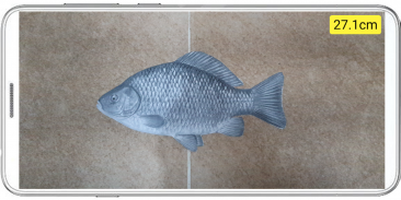 Fish ruler - APK Download for Android