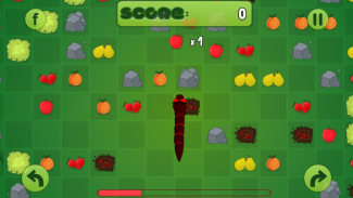 Hungry Snake screenshot 2