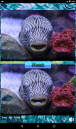 Find the differences: Sea Creatures screenshot 0