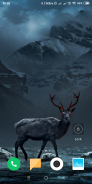 Deer Wallpaper screenshot 8