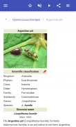 Insect pests screenshot 3