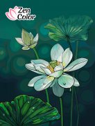 Zen Color - Warna Dari Angka screenshot 7