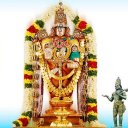 Annamayya Sankeerthanas Telugu - Baixar APK para Android | Aptoide